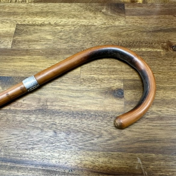 Walking Stick 1 